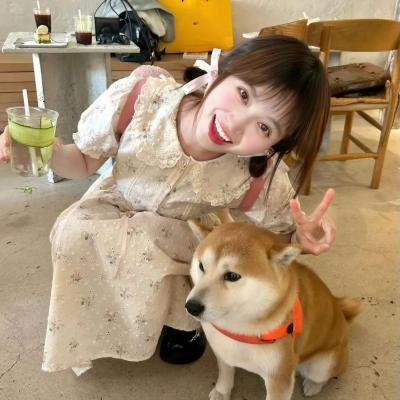 珍布